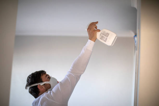 Trusted Burkburnett, TX Mold Remediation Experts