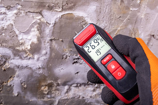 Best Health and Safety Mold Remediation in Burkburnett, TX