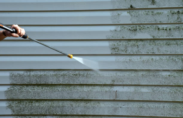 Best Residential Mold Remediation in Burkburnett, TX