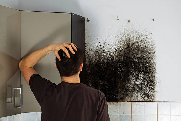 Best Crawl Space Mold Remediation in Burkburnett, TX